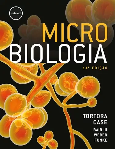 principais-categorias-microbiologia-biomedicina-online
